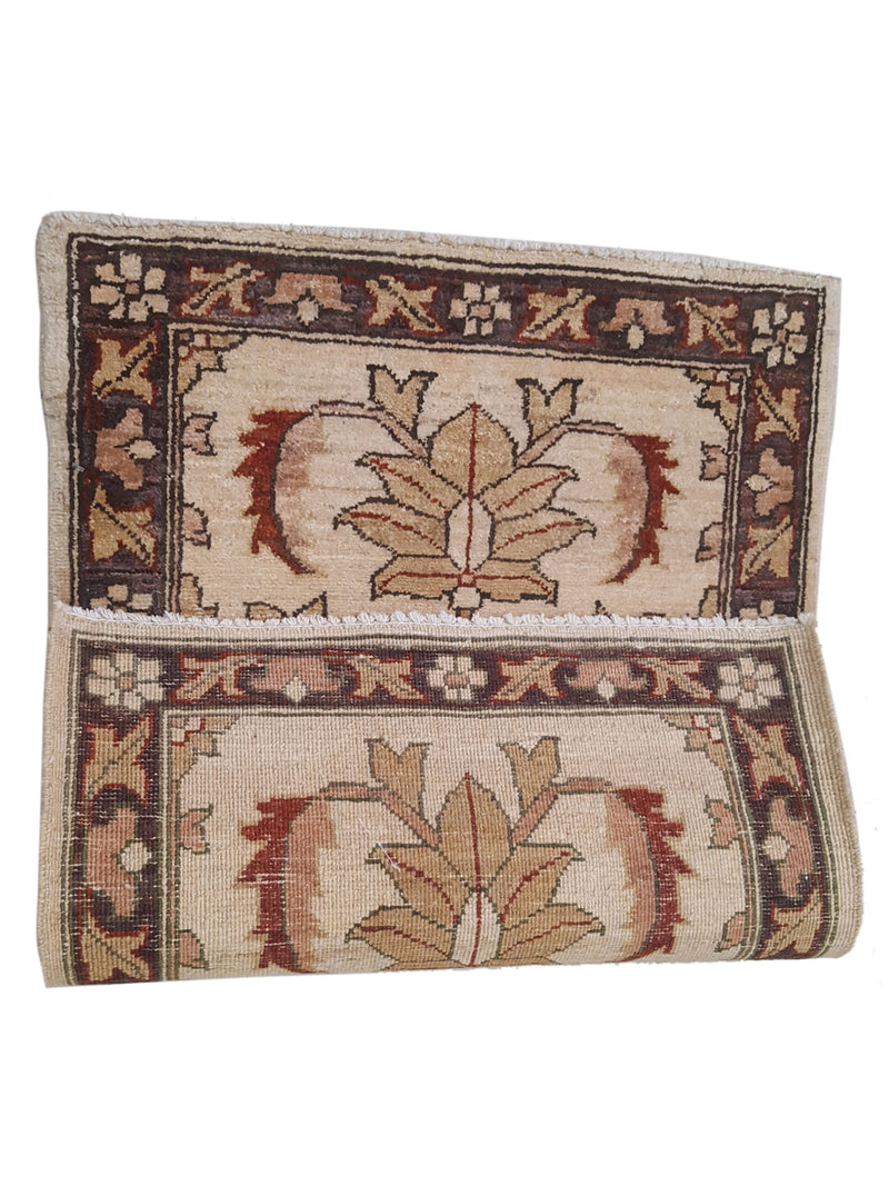 Pacific Ziegler 36148 Gold Brown Transitional Hand Knotted Rug
