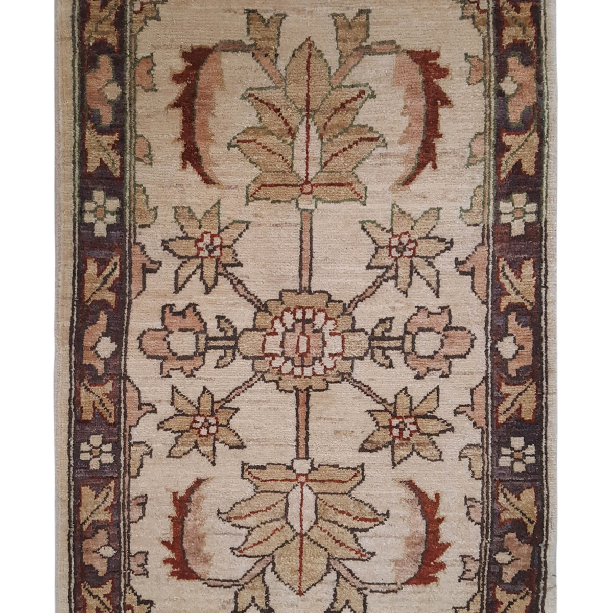 Pacific Ziegler  Gold Brown Transitional
