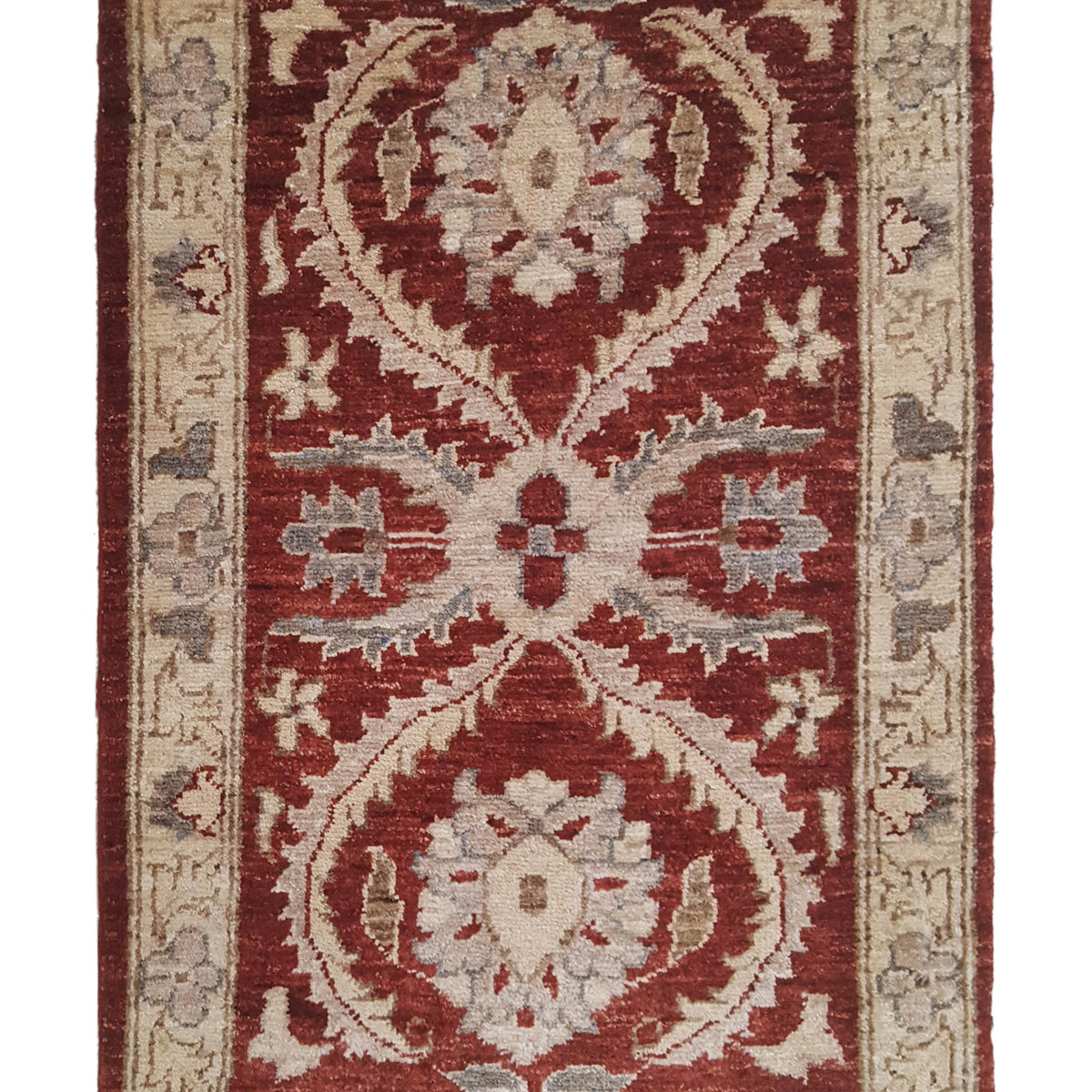Pacific Ziegler  Red Gold Transitional