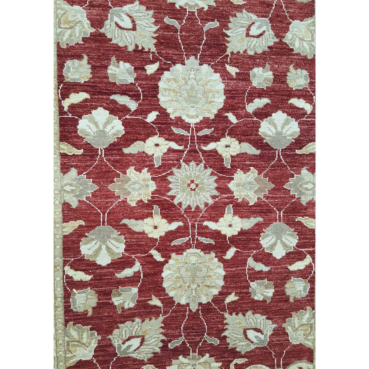 Pacific Ziegler 36152 Red Gold Transitional Hand Knotted Rug
