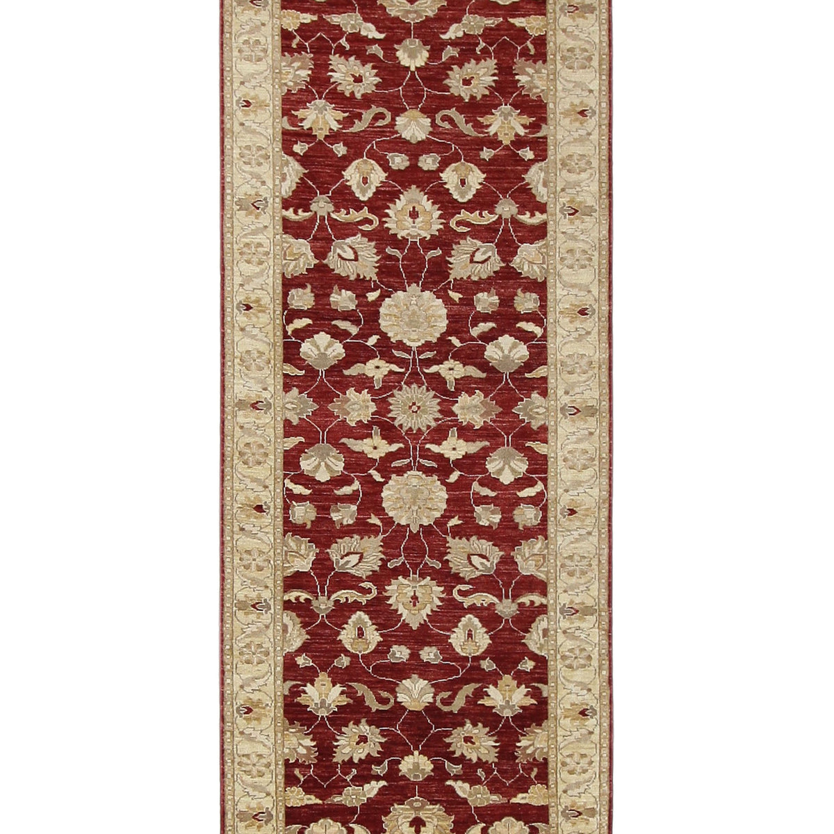 Pacific Ziegler  Red Gold Transitional