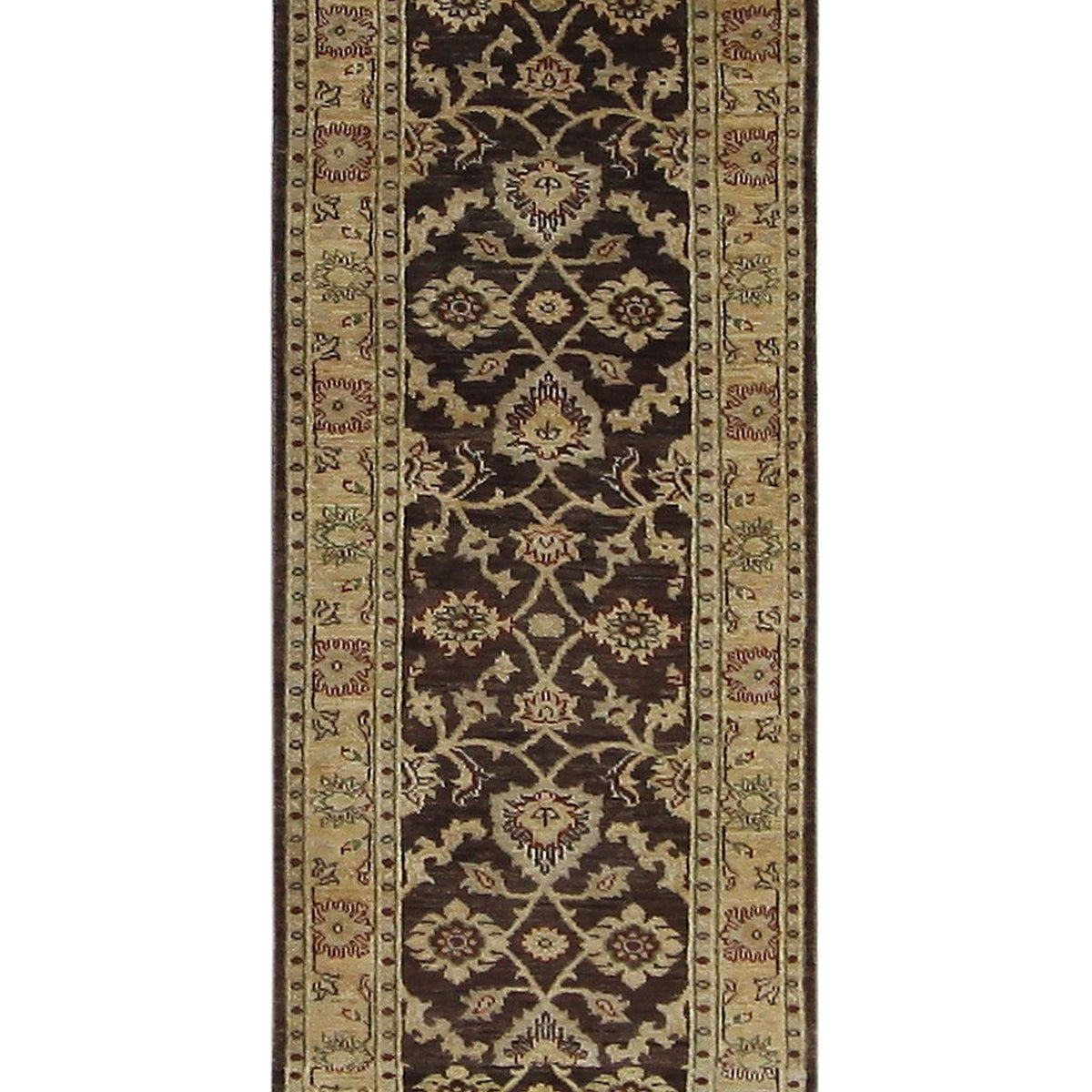 Pacific Ziegler  Brown Gold Transitional