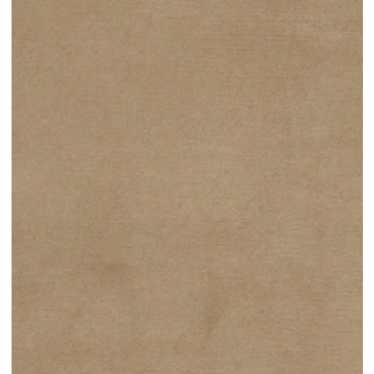 Pacific Nepalese 36808 Beige Beige Transitional Hand Knotted Rug