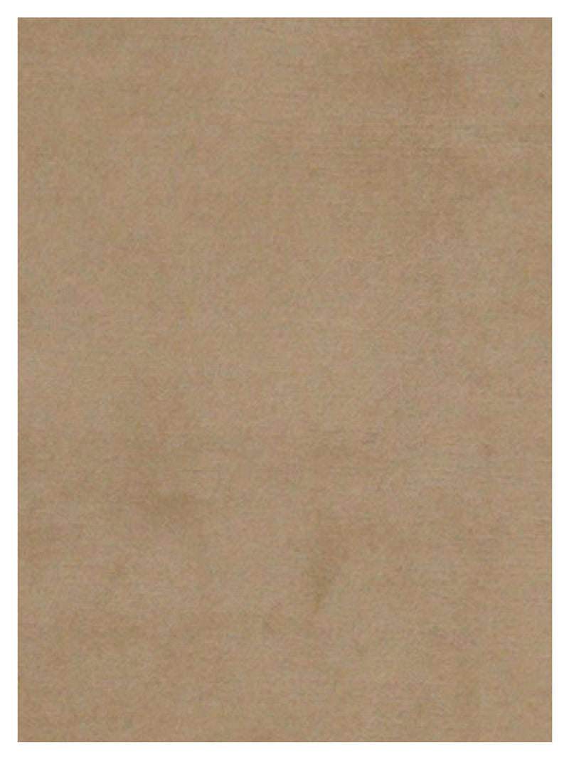 Pacific Nepalese 36808 Beige Beige Transitional Hand Knotted Rug