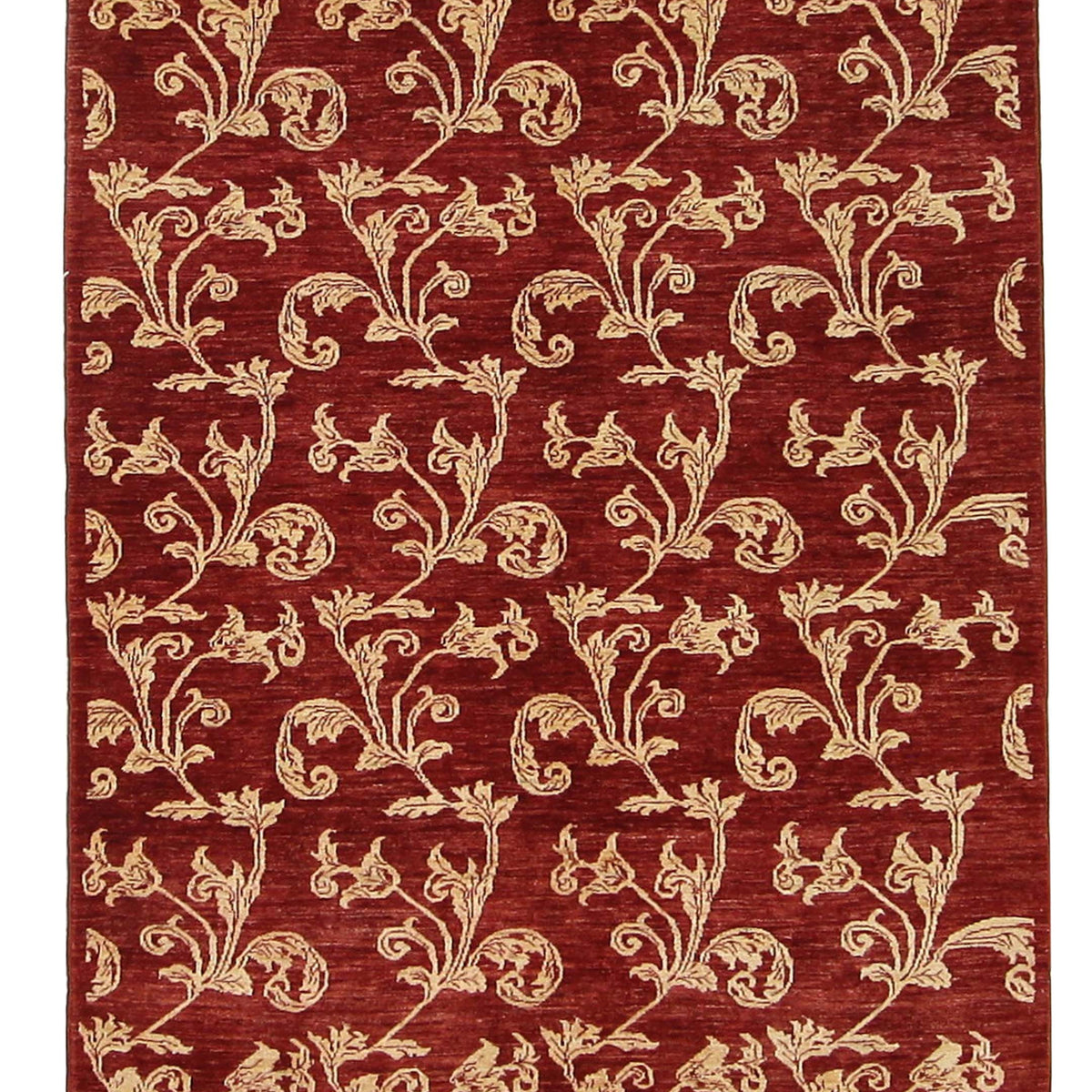 Pacific Kafkaz  Burgundy Gold Modern