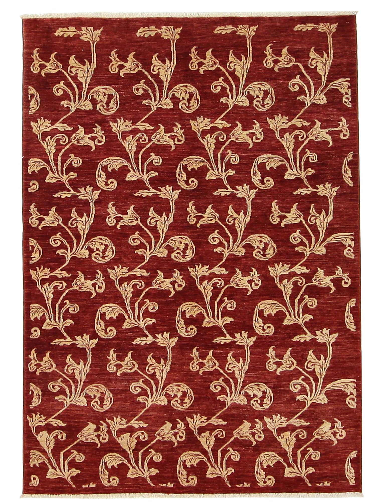 Pacific Kafkaz  Burgundy Gold Modern