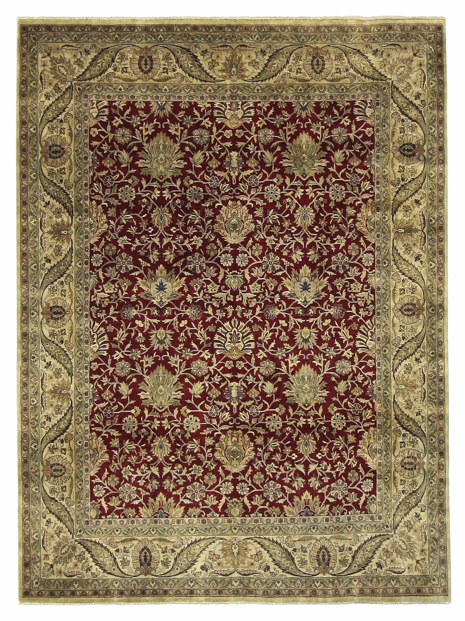 Pacific Maharaja  Red Gold Traditional