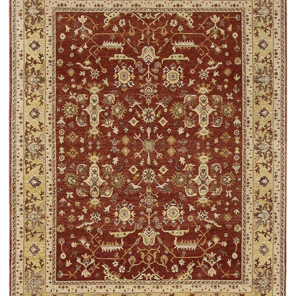 Pacific Maharaja  Rust Green Traditional
