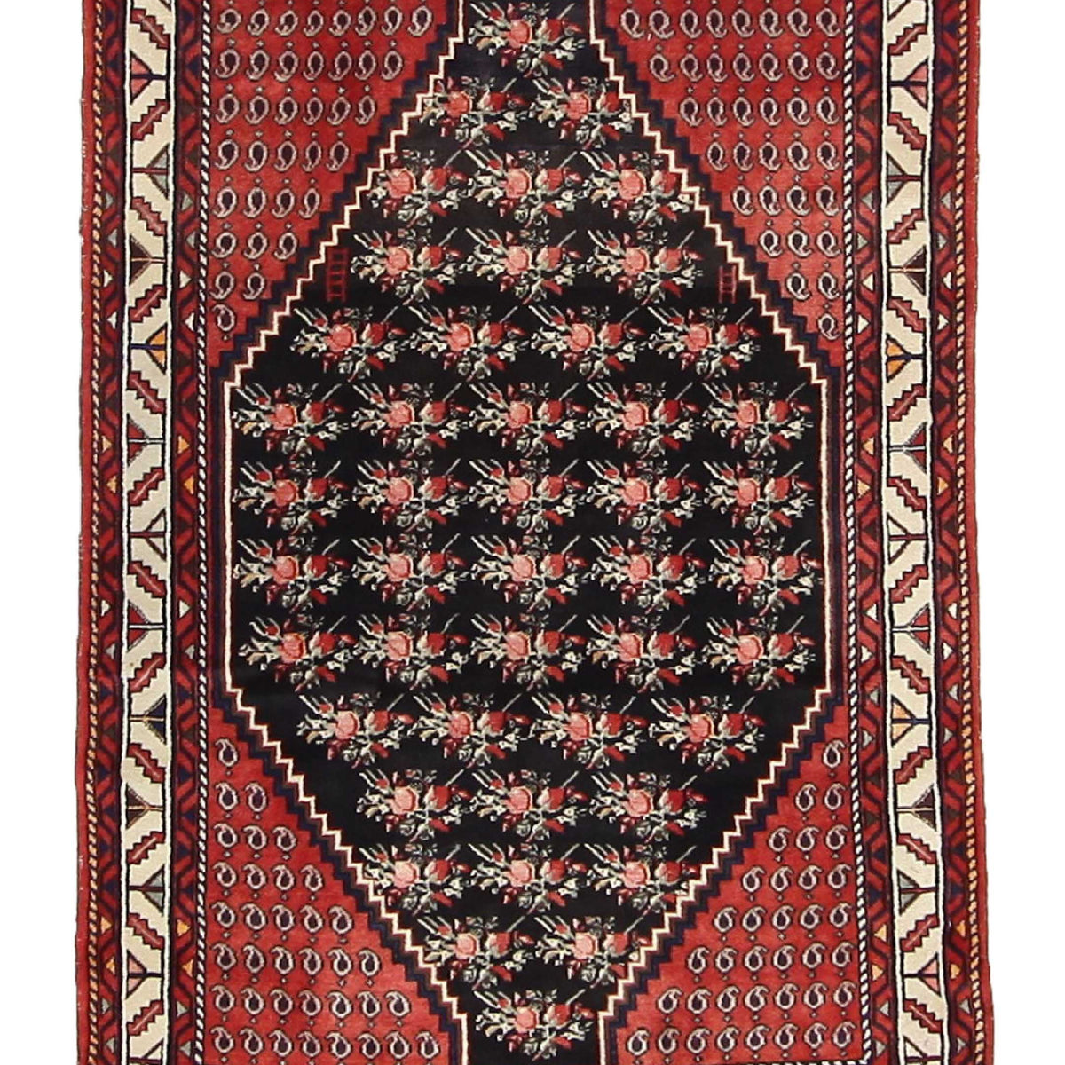 Pacific Angles  Red Ivory Traditional