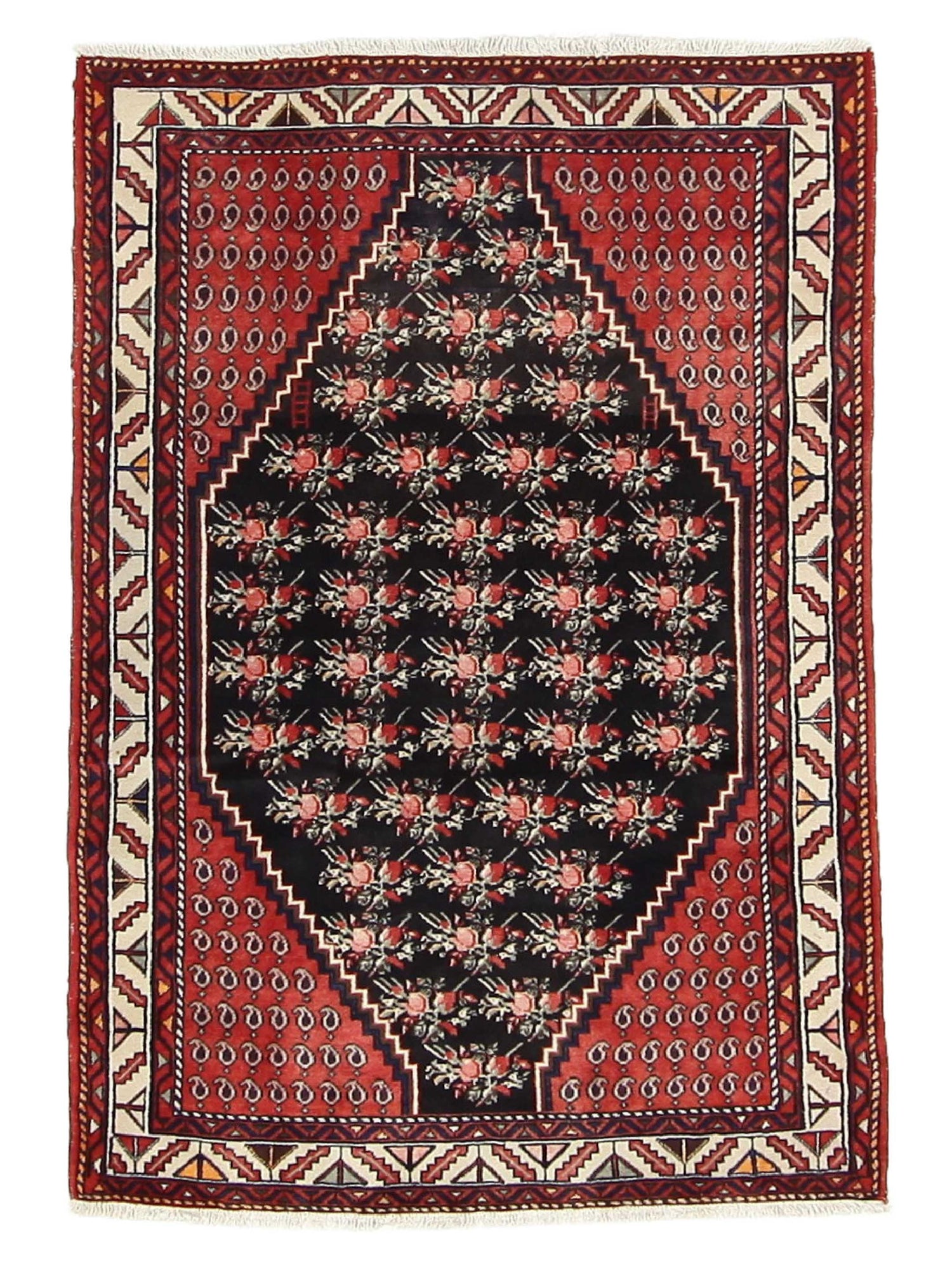 Pacific Angles  Red Ivory Traditional