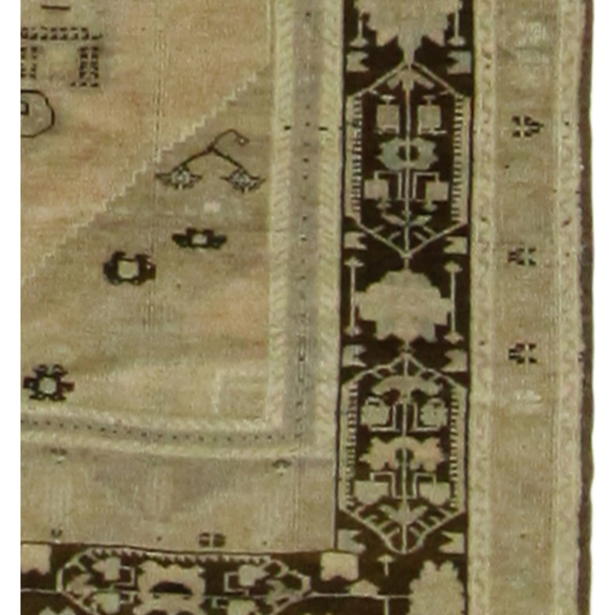 Pacific Anatolian 38168 Camel Brown Traditional Hand Knotted Rug