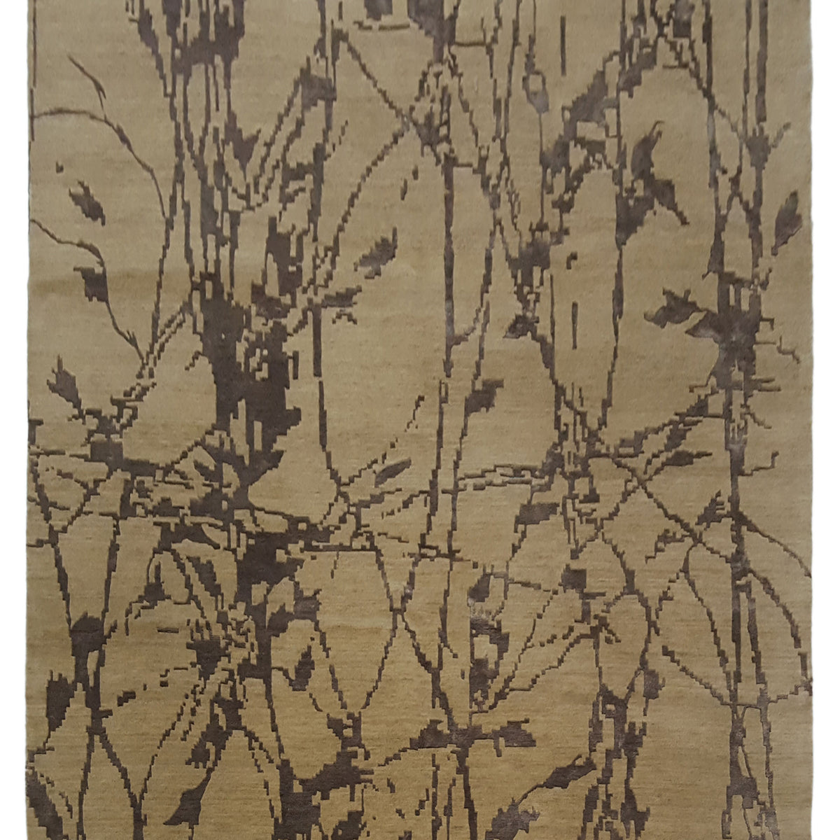 Pacific Modern-Np  Beige Grey Transitional
