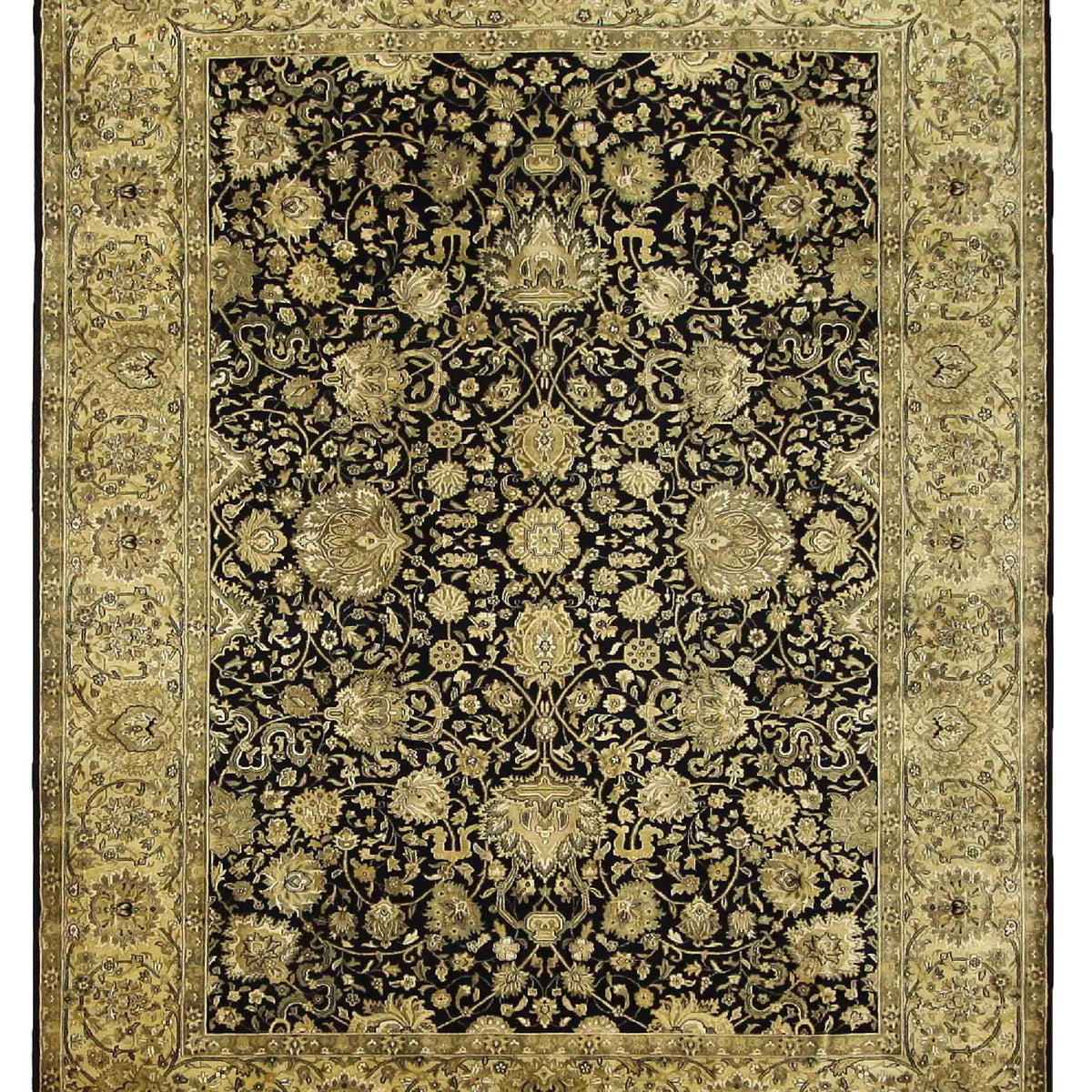Pacific Nouveau  Black Gold Traditional
