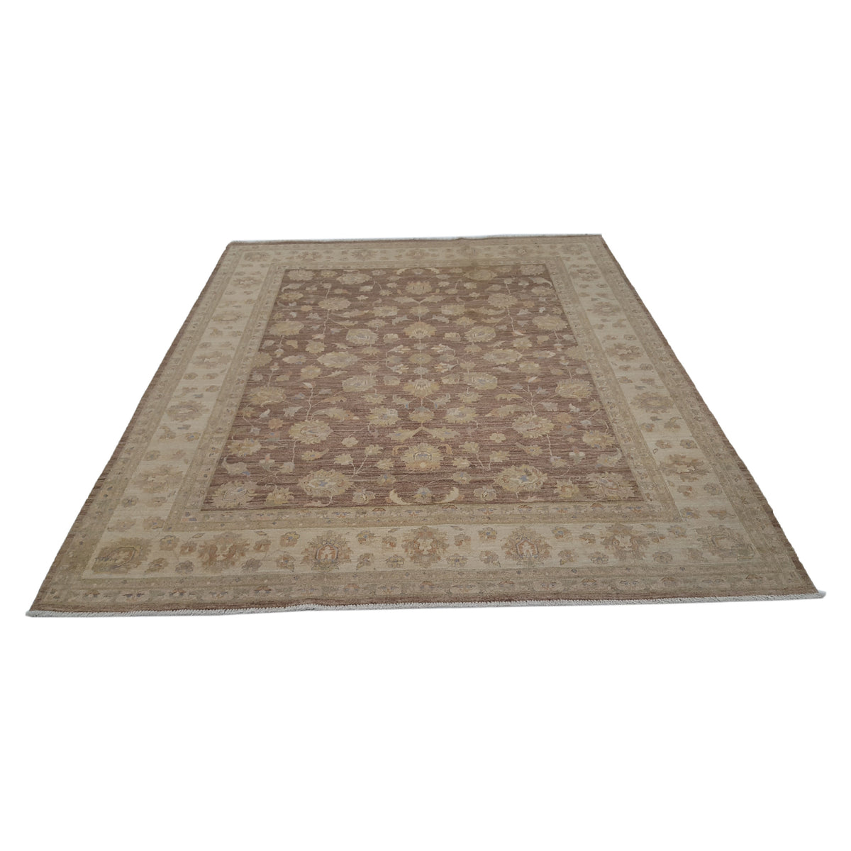 Pacific Ziegler 39196 Lt.Brown Beige Transitional Hand Knotted Rug
