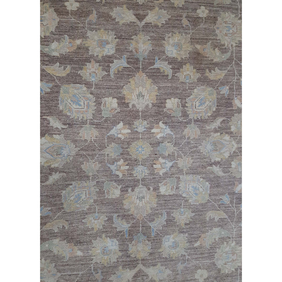 Pacific Ziegler 39196 Lt.Brown Beige Transitional Hand Knotted Rug