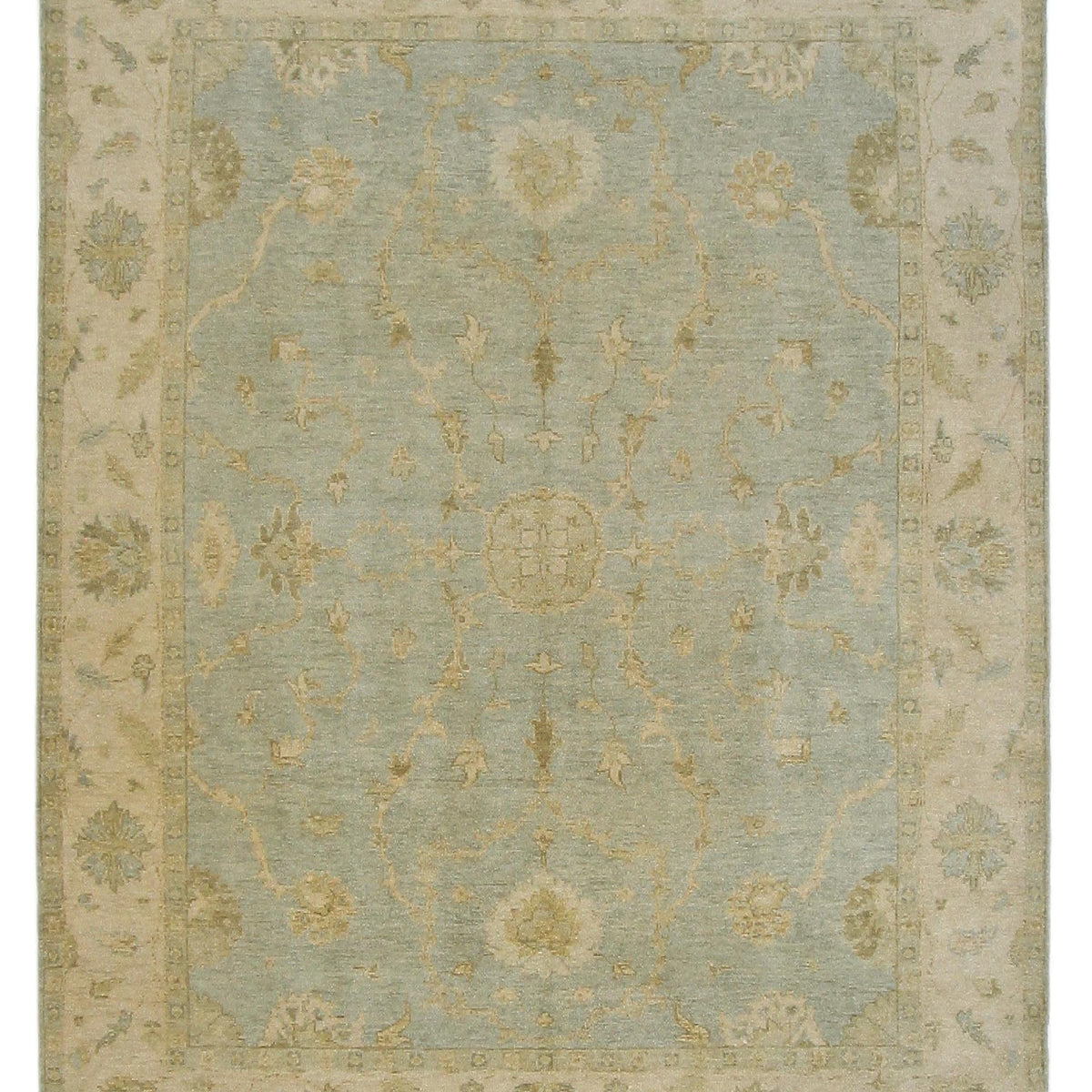 Pacific Angora  Lt.Blue Cream Traditional