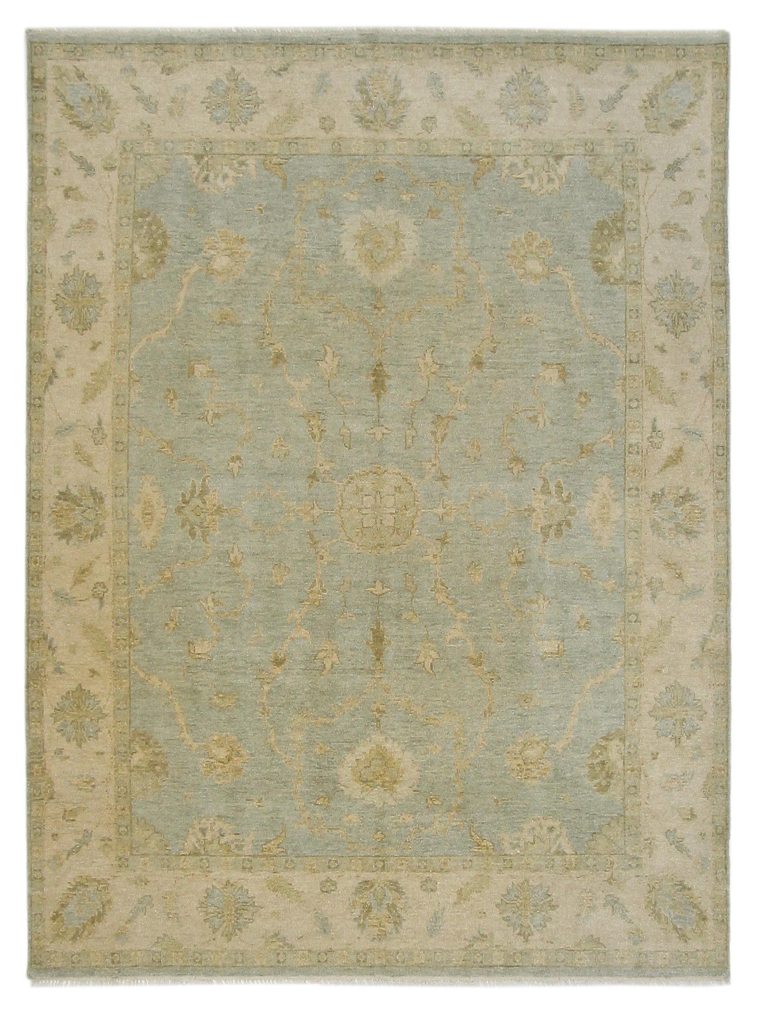 Pacific Angora  Lt.Blue Cream Traditional