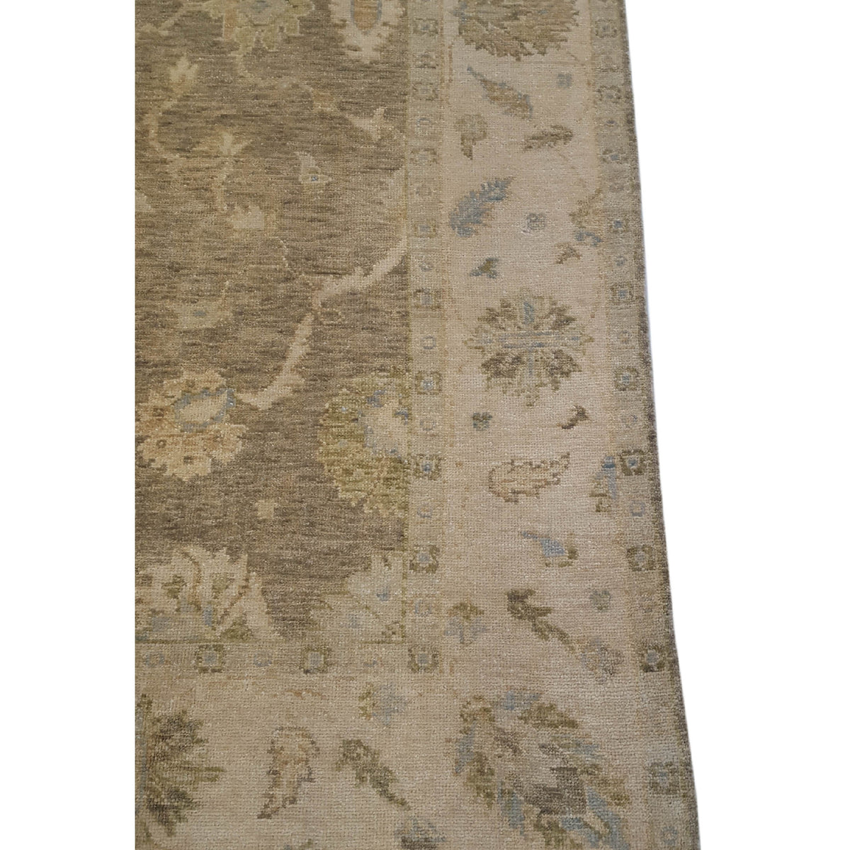 Pacific Angora 39279 Chocolate Cream Traditional Hand Knotted Rug