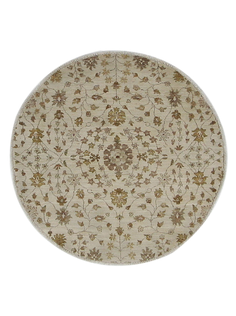 Pacific Ziegler  Ivory Ivory Transitional