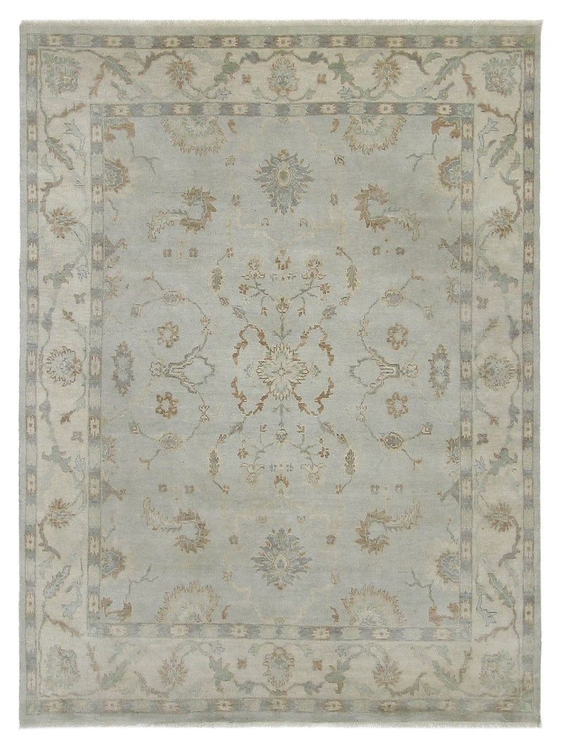 Pacific Angora  Grey Cream Traditional