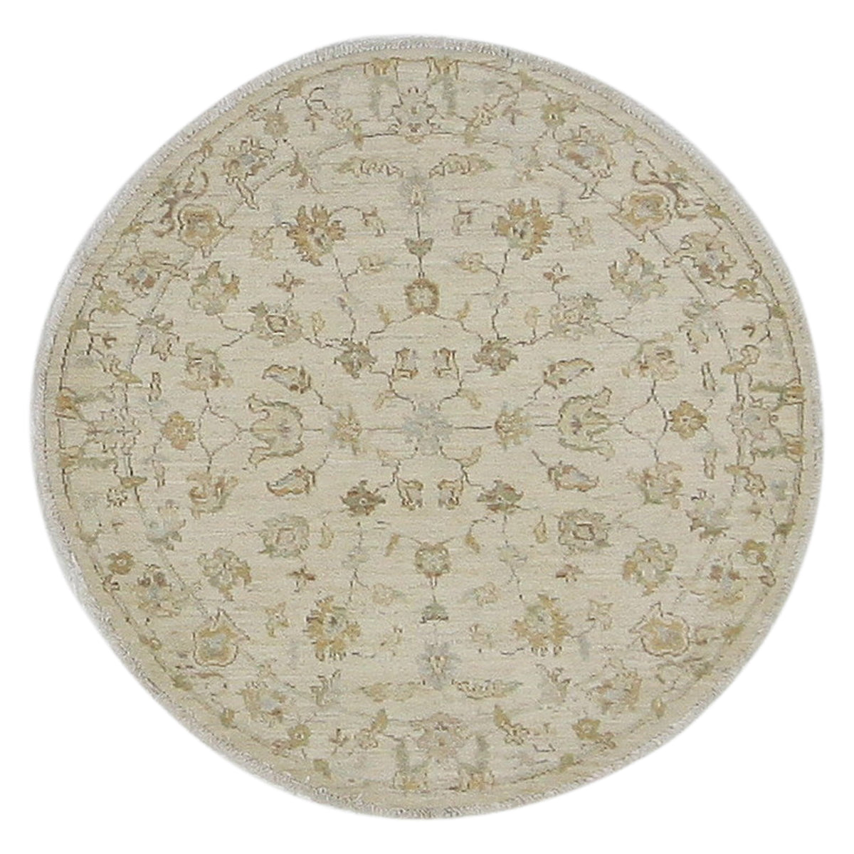 Pacific Ziegler  Ivory Ivory Transitional
