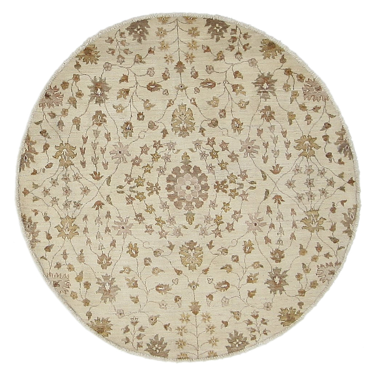 Pacific Ziegler  Ivory Ivory Transitional