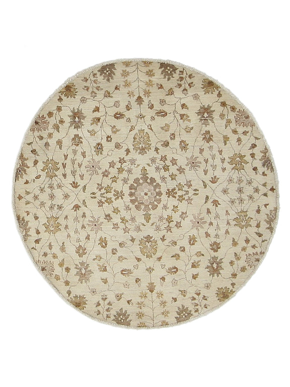 Pacific Ziegler  Ivory Ivory Transitional