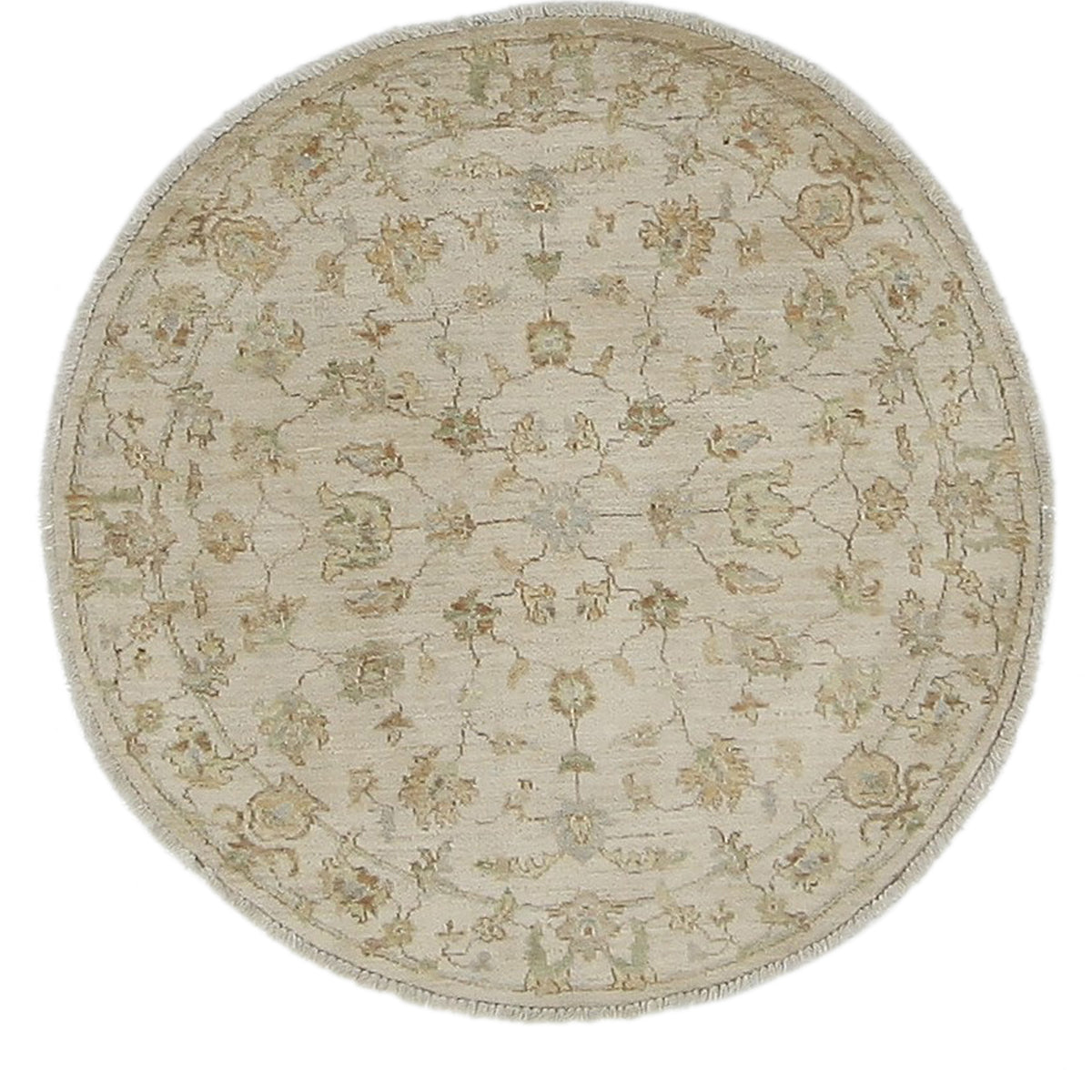 Pacific Ziegler  Ivory Ivory Transitional
