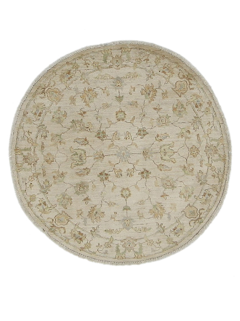 Pacific Ziegler  Ivory Ivory Transitional