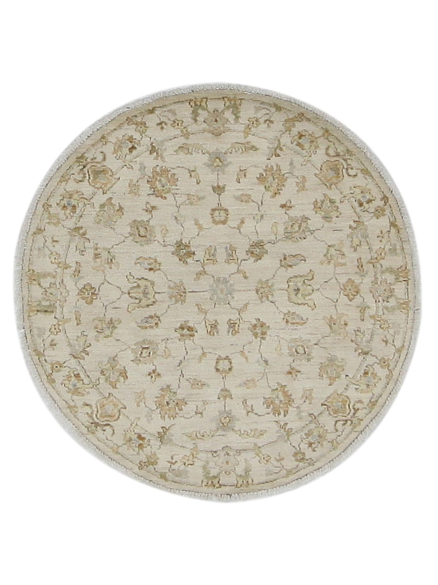 Pacific Ziegler  Ivory Ivory Transitional