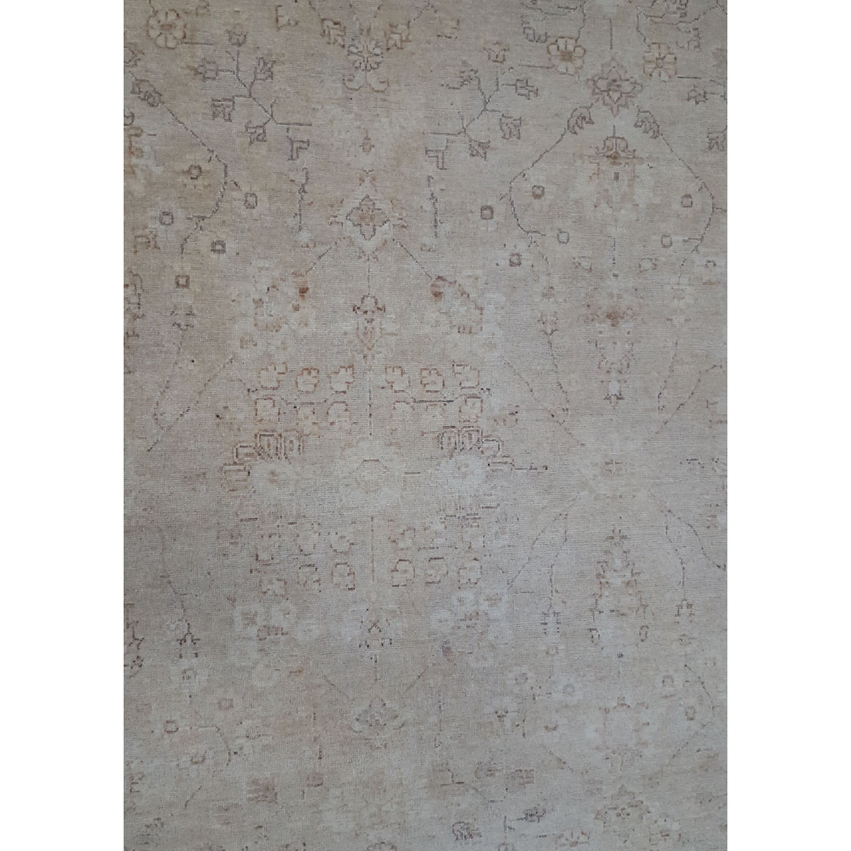 Pacific Ziegler 39438 Beige Ivory Transitional Hand Knotted Rug
