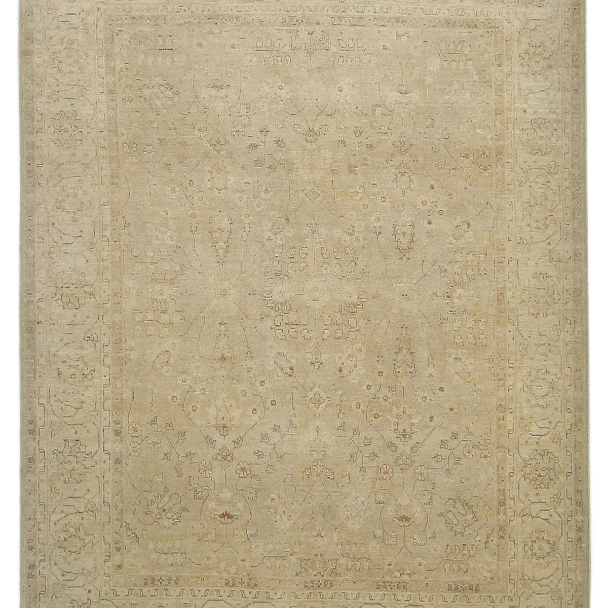 Pacific Ziegler  Beige Ivory Transitional