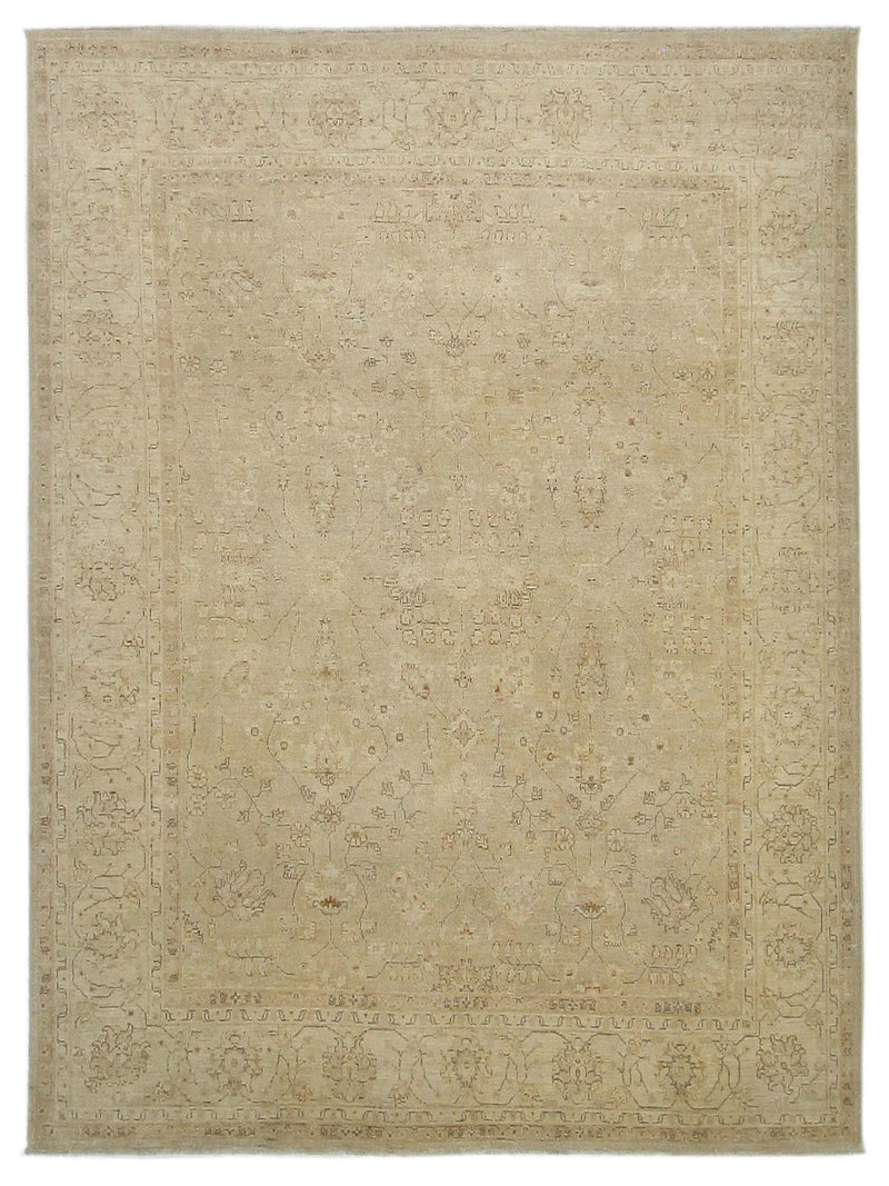 Pacific Ziegler  Beige Ivory Transitional