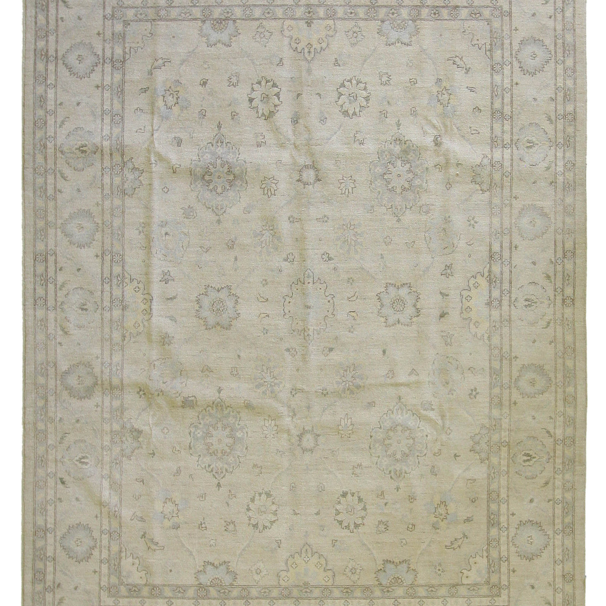 Pacific Ziegler  Ivory Ivory Transitional