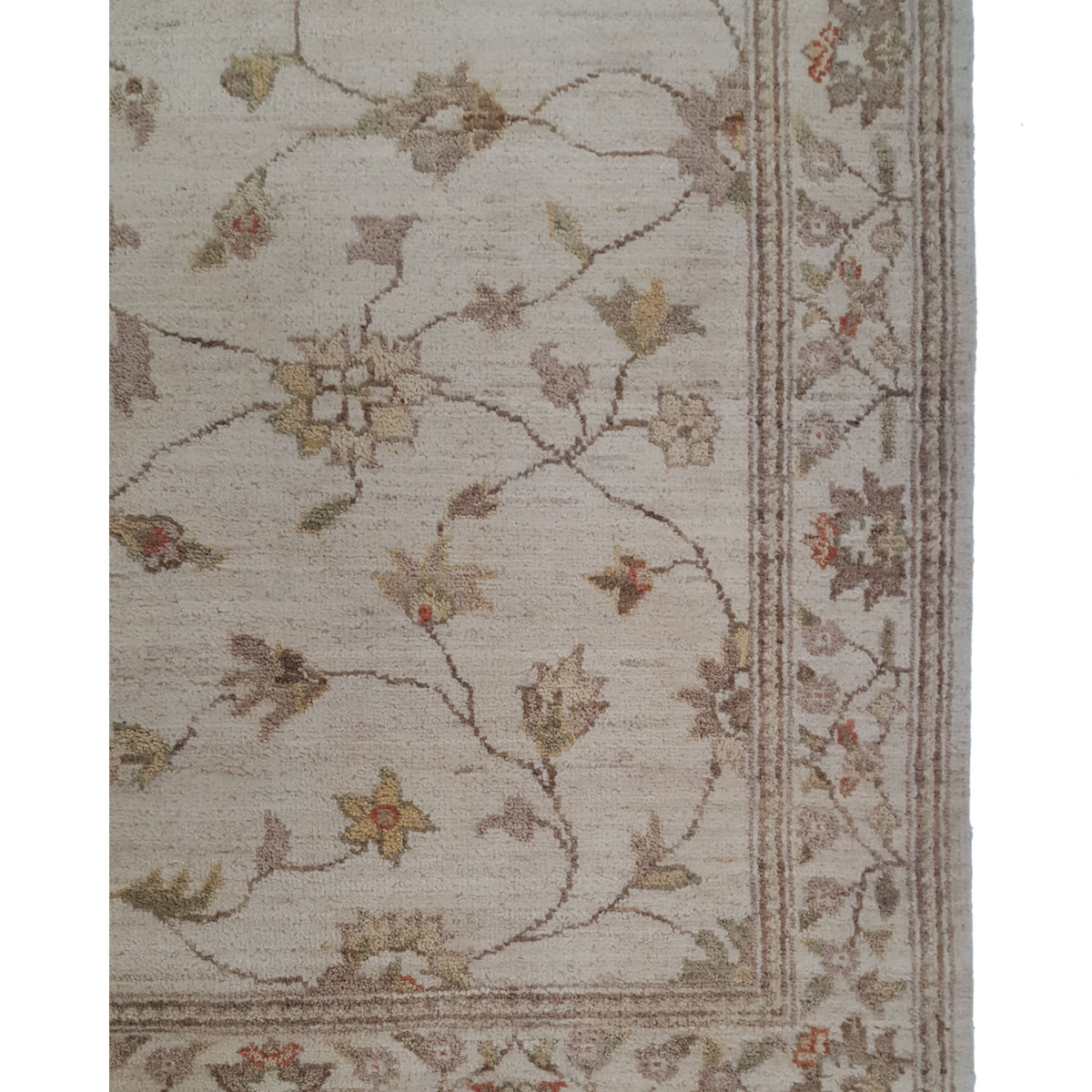 Pacific Ziegler 39455 Ivory Ivory Transitional Hand Knotted Rug