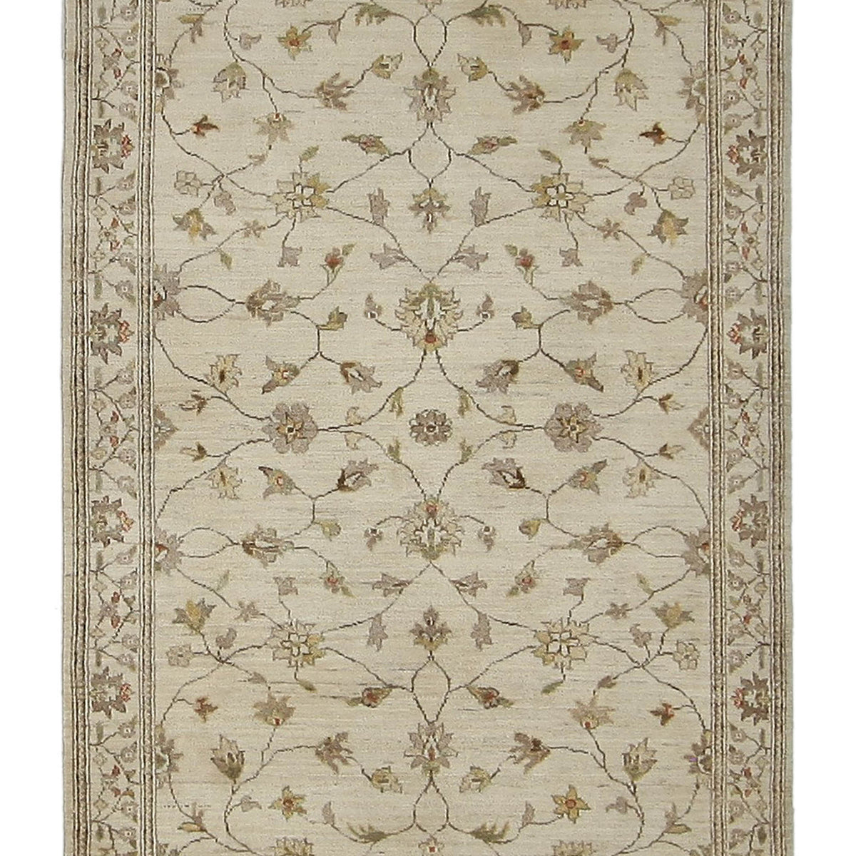 Pacific Ziegler  Ivory Ivory Transitional