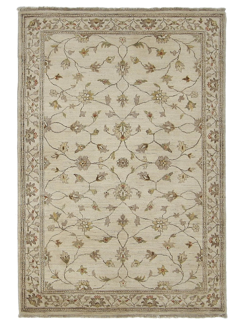 Pacific Ziegler  Ivory Ivory Transitional