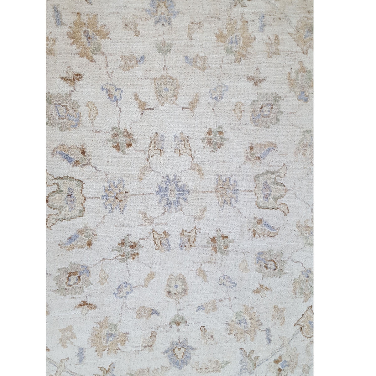 Pacific Ziegler 39458 Ivory Ivory Transitional Hand Knotted Rug