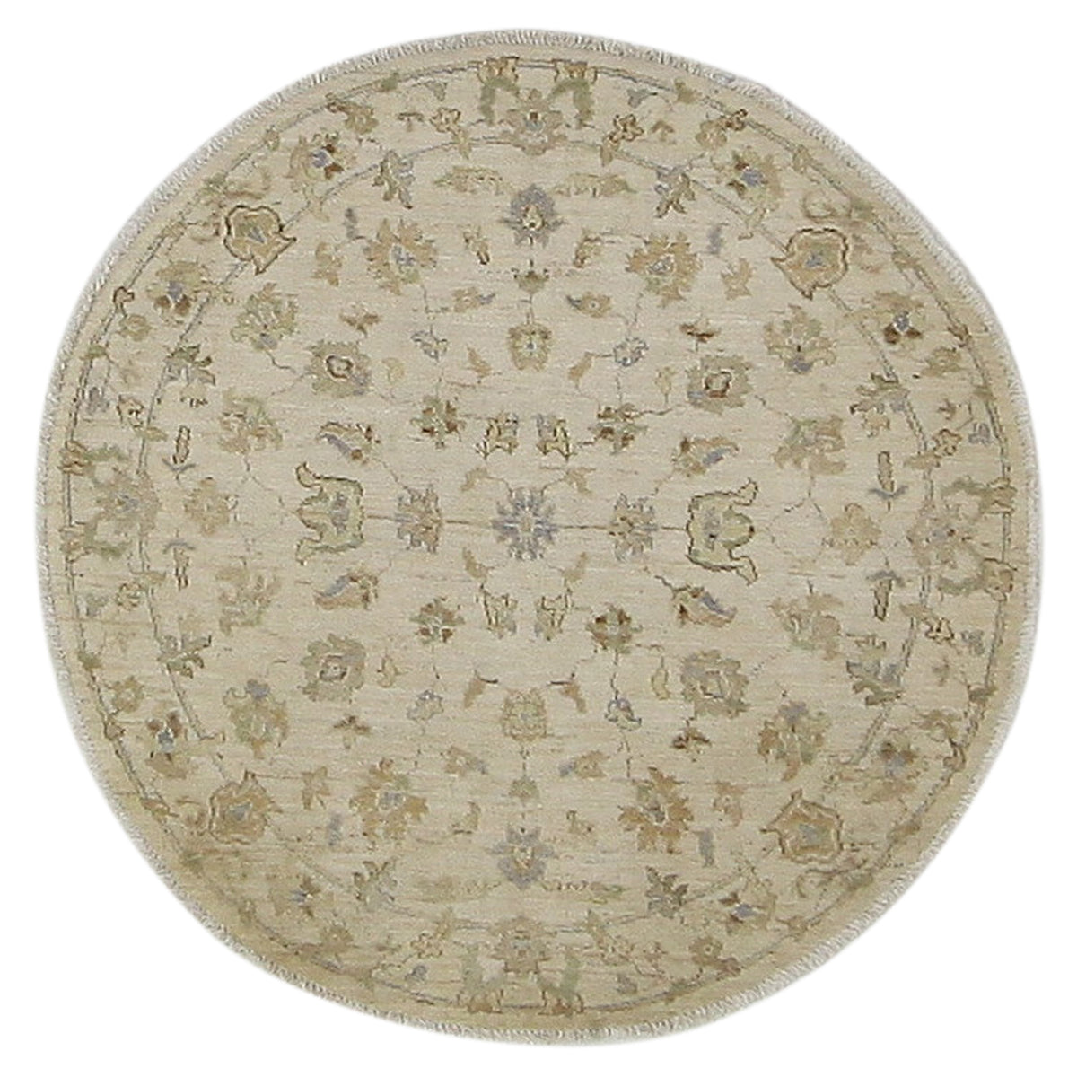 Pacific Ziegler  Ivory Ivory Transitional