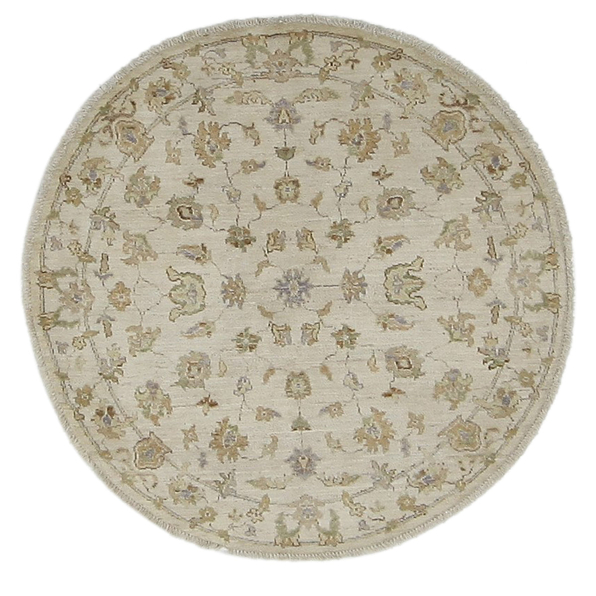 Pacific Ziegler  Ivory Ivory Transitional