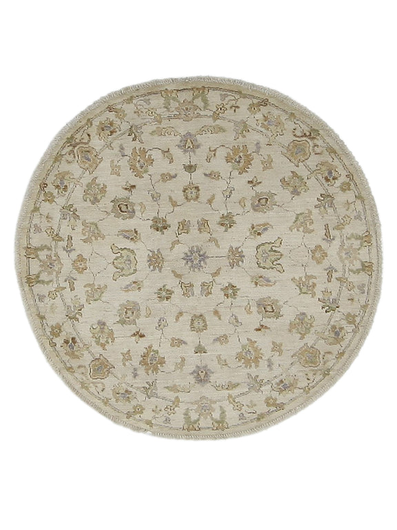 Pacific Ziegler  Ivory Ivory Transitional