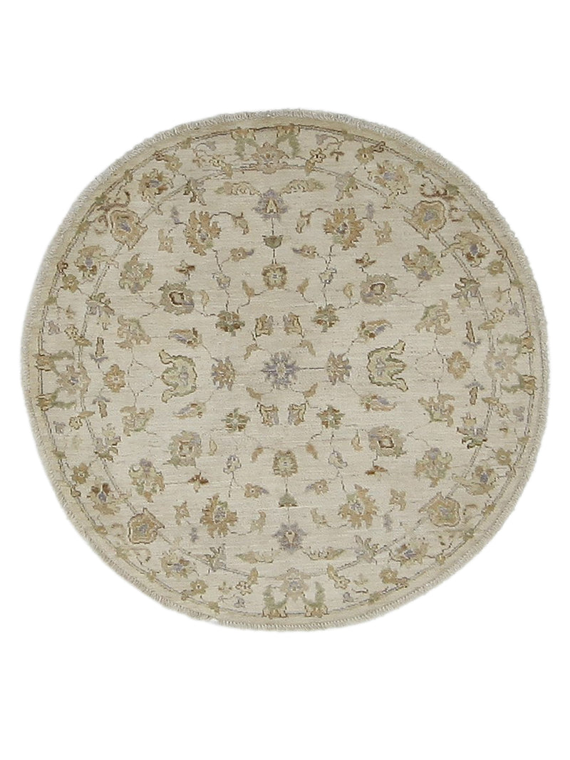Pacific Ziegler  Ivory Ivory Transitional