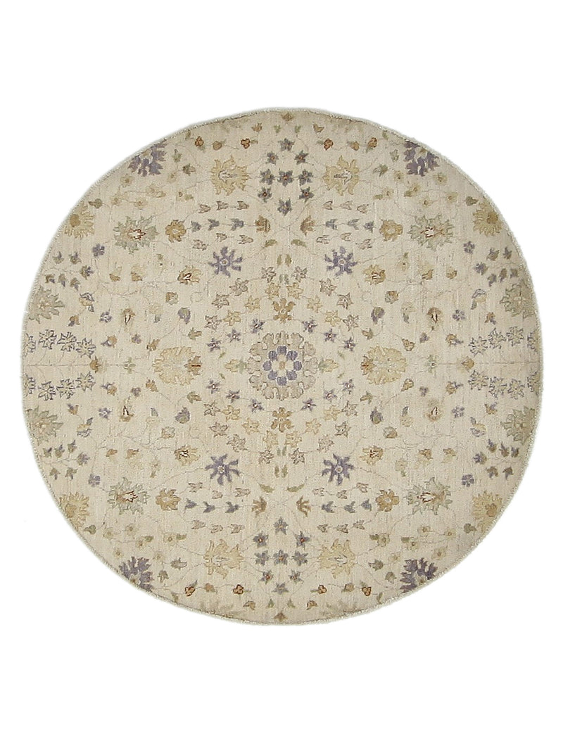 Pacific Ziegler  Ivory Ivory Transitional