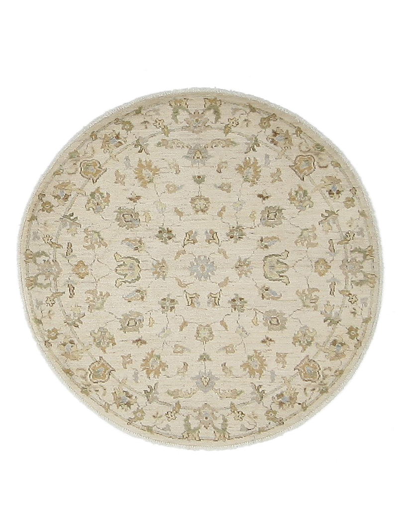 Pacific Ziegler  Ivory Ivory Transitional