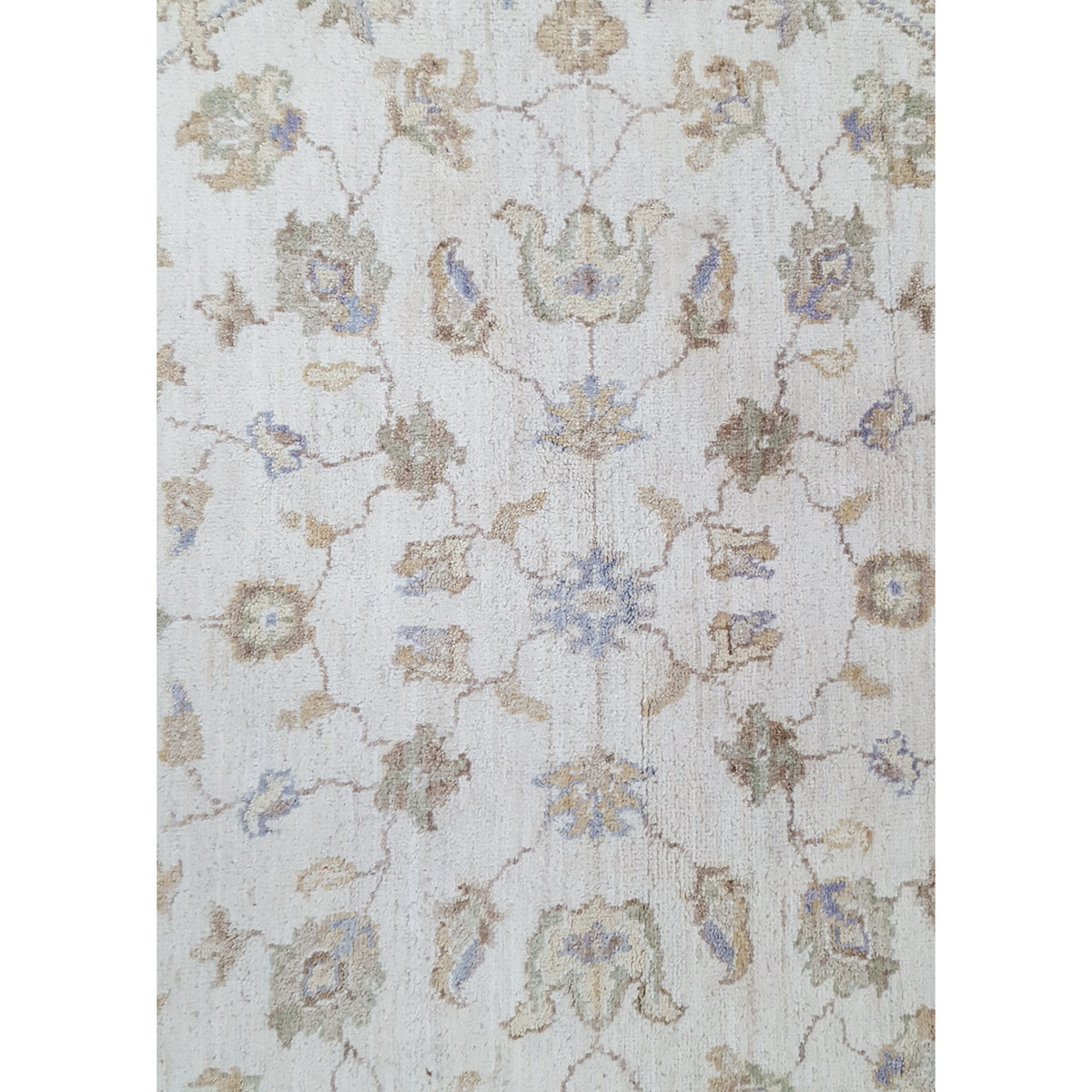 Pacific Ziegler 39517 Ivory Ivory Transitional Hand Knotted Rug