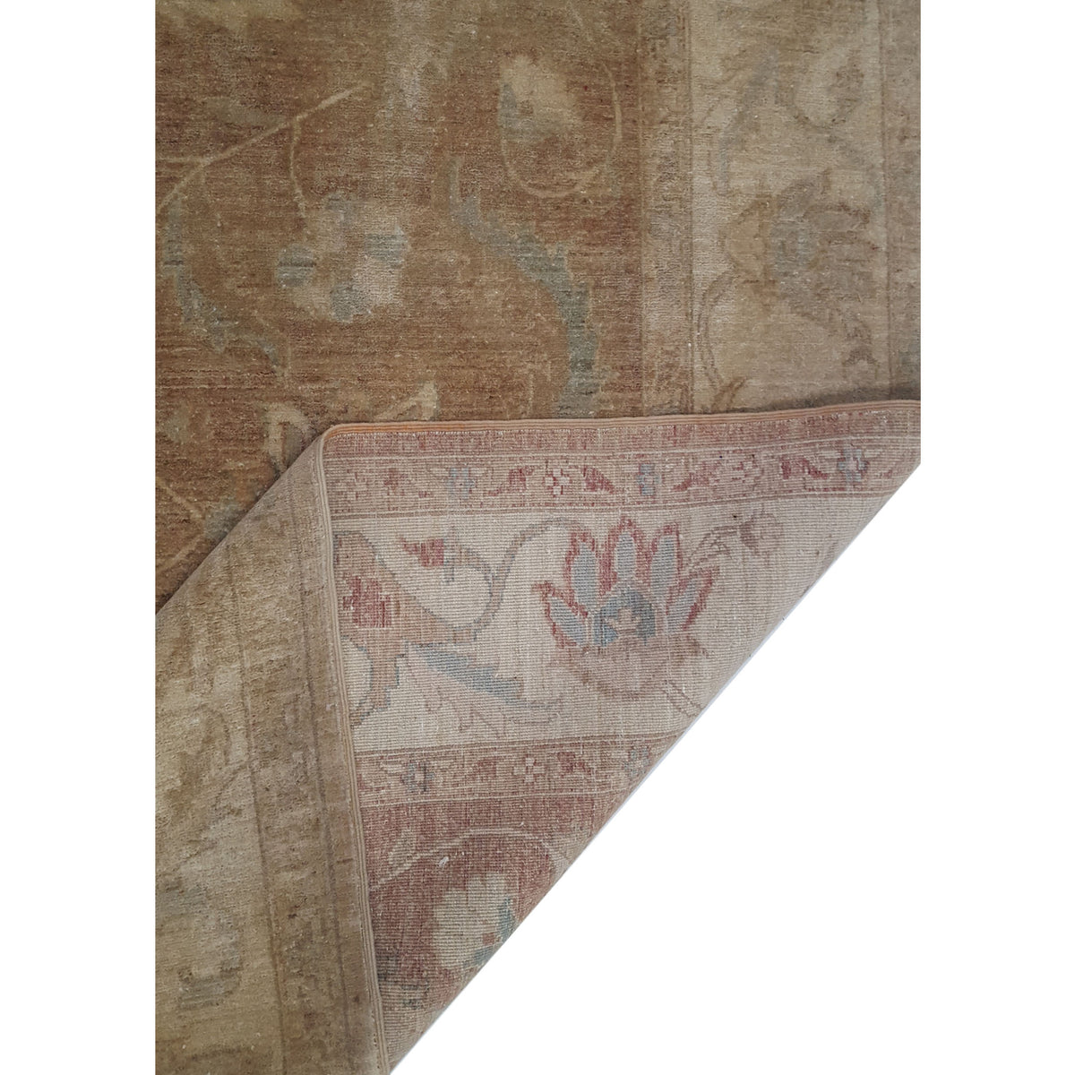 Pacific Ziegler 39637 Brown Beige Transitional Hand Knotted Rug