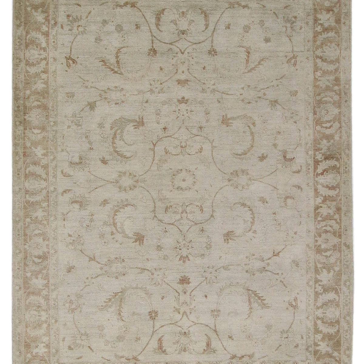 Pacific Ziegler  Ivory Lt.Brown Transitional