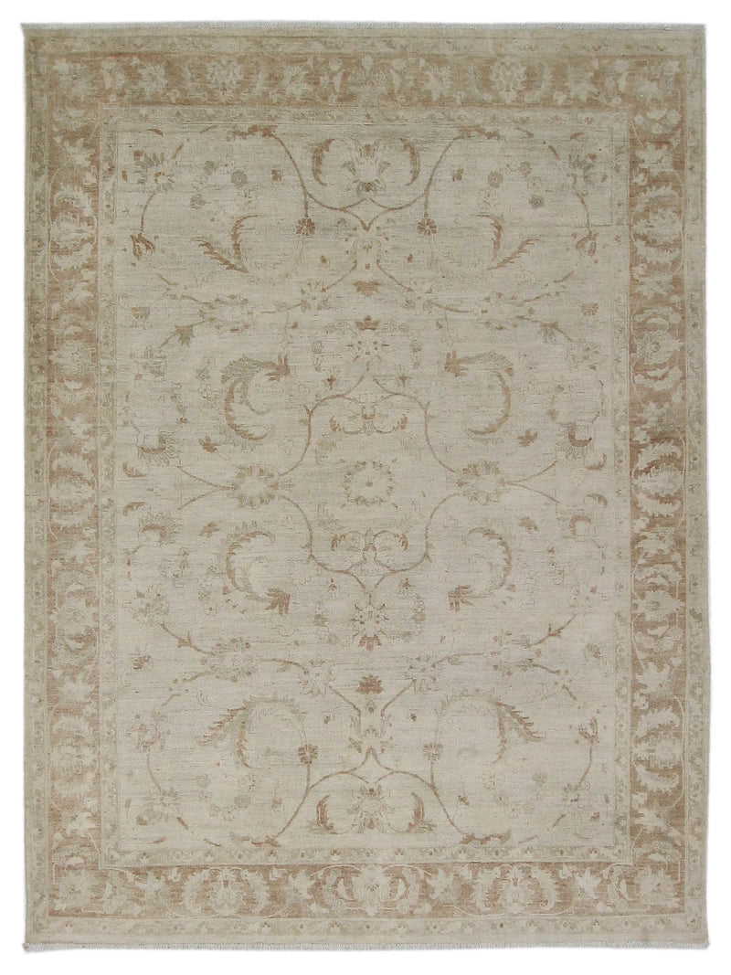 Pacific Ziegler  Ivory Lt.Brown Transitional