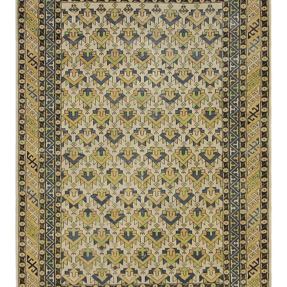 Pacific Caucasian  Ivory Yellow Traditional