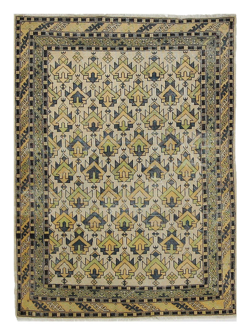 Pacific Caucasian  Ivory Yellow Transitional